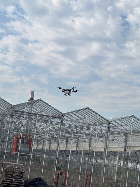 High Vantage Ltd Helps Quantil Limited Keep Its Glasshouses in Top Condition
