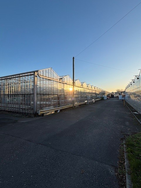 Our Business Expands with further Land & Greenhouse Space