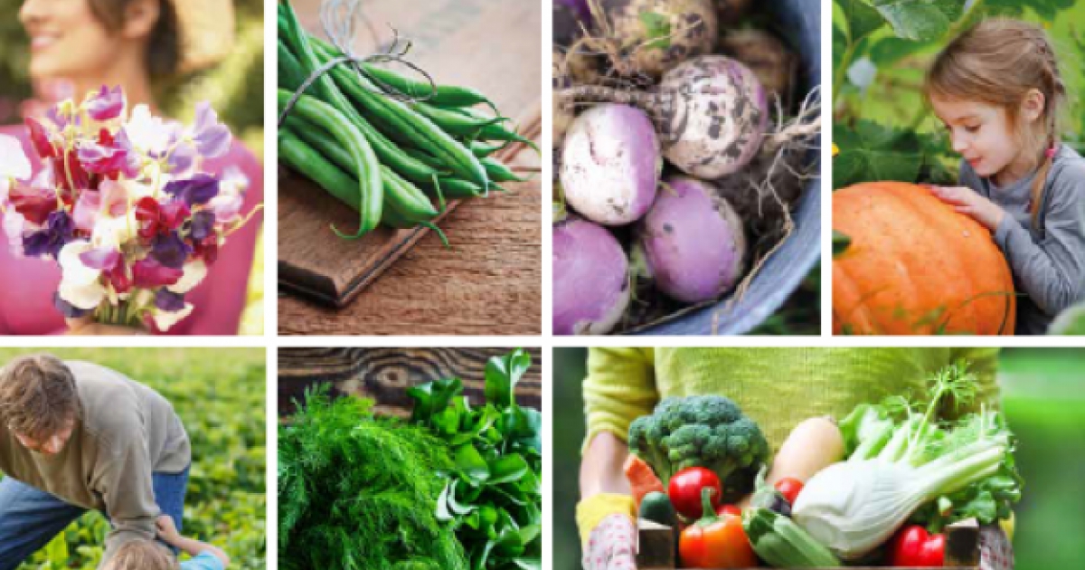 New 2022 Quantil catalogue available | Quantil