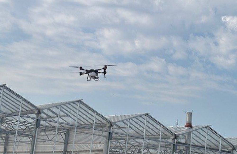 Drone1.jpg